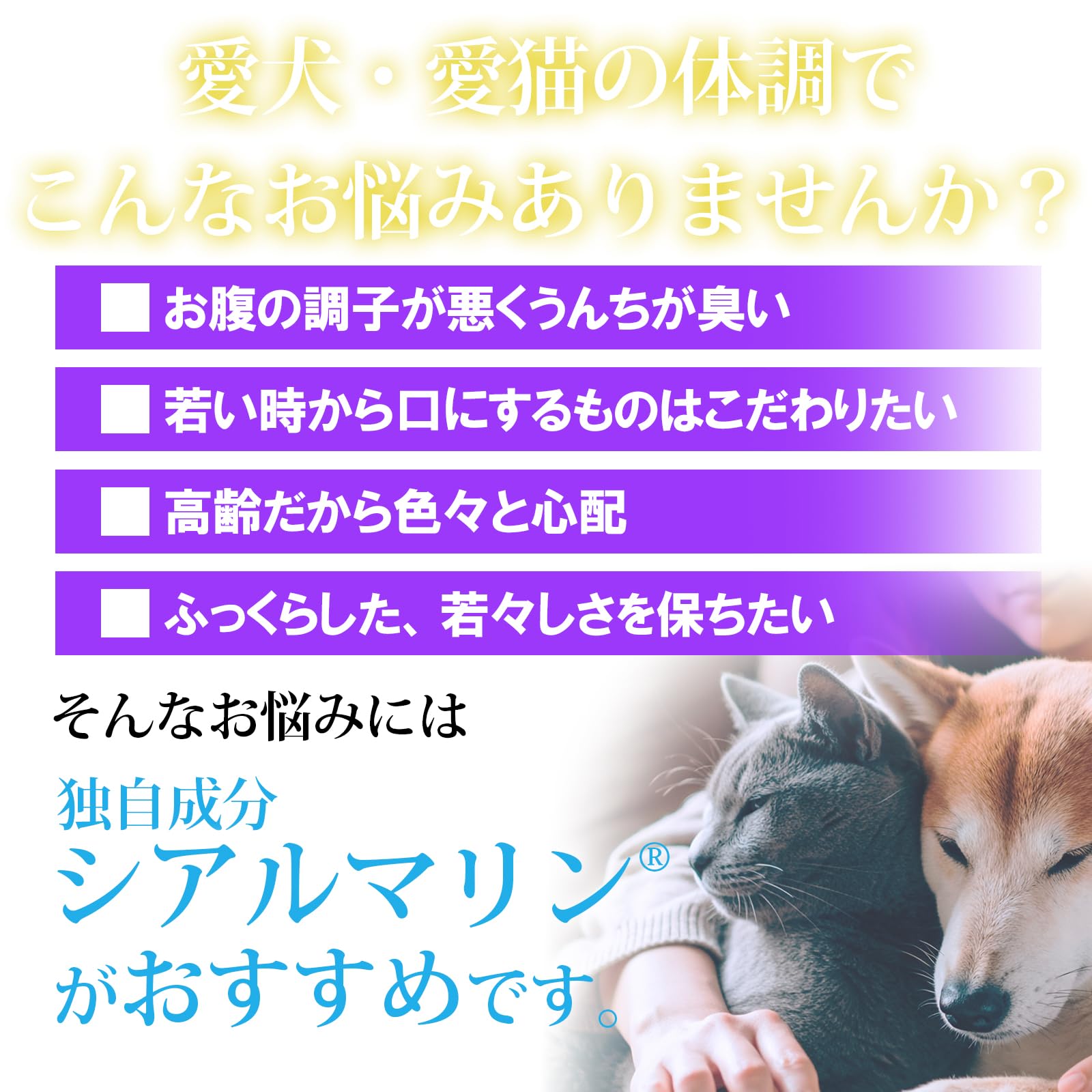 Amazon.co.jp: 猫用 犬用【腎臓 食欲 腸内環境】獣医師推奨メディカル